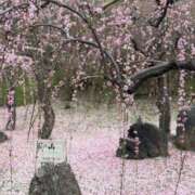 ヒメ日記 2026/03/10 11:27 投稿 れな いざ候 本館