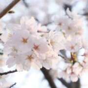 ヒメ日記 2026/03/29 12:17 投稿 れな いざ候 本館