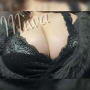 ヒメ日記 2024/12/29 15:07 投稿 みわ CURVY POP 池袋店