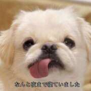 ヒメ日記 2025/03/01 13:48 投稿 みわ CURVY POP 池袋店