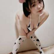 ヒメ日記 2025/04/16 09:48 投稿 鷹木 かりん 30代40代50代と遊ぶなら博多人妻専科24時