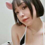 ヒメ日記 2025/04/16 16:07 投稿 鷹木 かりん 30代40代50代と遊ぶなら博多人妻専科24時