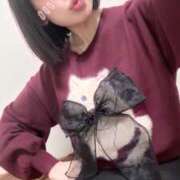 ヒメ日記 2025/11/08 17:18 投稿 鷹木 かりん 30代40代50代と遊ぶなら博多人妻専科24時