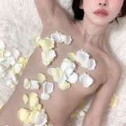 ヒメ日記 2026/02/13 02:55 投稿 鷹木 かりん 30代40代50代と遊ぶなら博多人妻専科24時