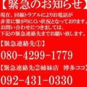 ヒメ日記 2026/04/11 17:20 投稿 鷹木 かりん 30代40代50代と遊ぶなら博多人妻専科24時
