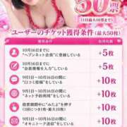 ヒメ日記 2026/10/08 16:16 投稿 鷹木 かりん 30代40代50代と遊ぶなら博多人妻専科24時