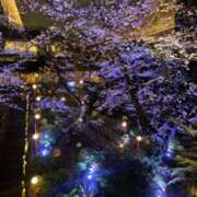 羽月かりん 夜桜ってすき グランエステ東京 品川