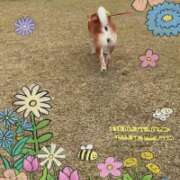 ヒメ日記 2026/04/13 10:01 投稿 やえ モアグループ熊谷人妻花壇