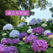 ヒメ日記 2026/06/25 15:10 投稿 ゆうみ 人妻日記