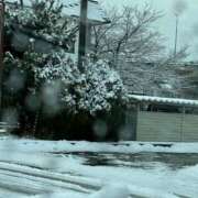 ヒメ日記 2024/12/28 10:03 投稿 りょう チューリップ仙台店