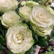 ヒメ日記 2025/06/16 14:47 投稿 りりぃ【大人女子】 Select(セレクト)