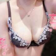 ヒメ日記 2025/11/24 12:05 投稿 すい☆抜群のFカップバスト ジャックと豆の木