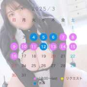 ヒメ日記 2025/03/04 12:04 投稿 なお 谷町豊満奉仕倶楽部