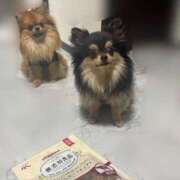 ヒメ日記 2025/06/02 10:04 投稿 なお 谷町豊満奉仕倶楽部