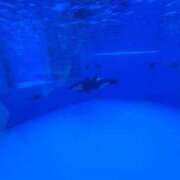 ヒメ日記 2025/06/29 10:04 投稿 なお 谷町豊満奉仕倶楽部