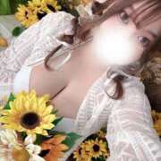 ヒメ日記 2025/07/14 16:44 投稿 なお 谷町豊満奉仕倶楽部