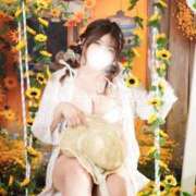 ヒメ日記 2025/09/13 06:14 投稿 なお 谷町豊満奉仕倶楽部