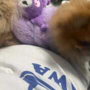 ヒメ日記 2025/11/03 13:14 投稿 なお 谷町豊満奉仕倶楽部