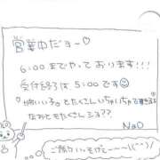 ヒメ日記 2026/02/09 01:24 投稿 なお 谷町豊満奉仕倶楽部