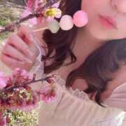 ヒメ日記 2026/03/08 16:54 投稿 なお 谷町豊満奉仕倶楽部