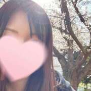 ヒメ日記 2025/04/07 00:58 投稿 りょう エレガンス(広島)