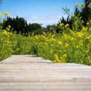 ヒメ日記 2025/05/24 12:45 投稿 まお コートダジュール