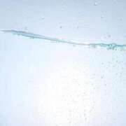 ヒメ日記 2025/06/04 07:45 投稿 まお コートダジュール