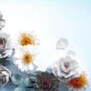 ヒメ日記 2025/06/14 07:15 投稿 まお コートダジュール