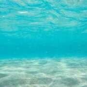 ヒメ日記 2025/12/12 19:45 投稿 まお コートダジュール