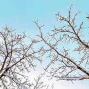 ヒメ日記 2025/12/14 07:45 投稿 まお コートダジュール