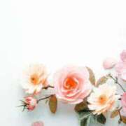 ヒメ日記 2025/12/16 21:30 投稿 まお コートダジュール