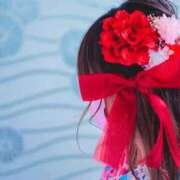 ヒメ日記 2025/12/30 08:15 投稿 まお コートダジュール