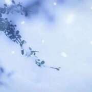 ヒメ日記 2026/01/08 06:30 投稿 まお コートダジュール