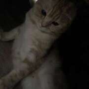 ヒメ日記 2025/06/28 17:53 投稿 ヒメナ 学校帰りの妹に手コキしてもらった件 谷九