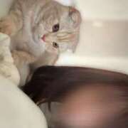 ヒメ日記 2025/07/25 15:03 投稿 ヒメナ 学校帰りの妹に手コキしてもらった件 谷九