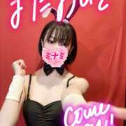 ヒメ日記 2025/10/07 17:25 投稿 ミナミ ドMなバニーちゃん大宮店