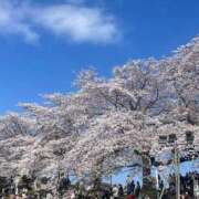 ヒメ日記 2025/04/12 22:30 投稿 こよみ しろわい 仙台店