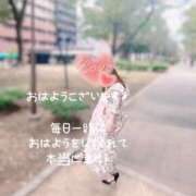 ヒメ日記 2025/04/14 07:47 投稿 ふみ 横浜回春性感マッサージ倶楽部