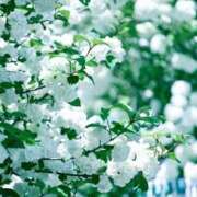 ヒメ日記 2025/06/09 12:07 投稿 ふみ 横浜回春性感マッサージ倶楽部