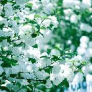 ヒメ日記 2025/09/15 12:09 投稿 ふみ 横浜回春性感マッサージ倶楽部