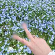 トキメキ 6日10日14日 ビギナーズ神戸