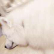 ヒメ日記 2025/04/03 13:42 投稿 みほの 池袋サンキュー