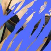 ヒメ日記 2025/11/12 14:21 投稿 みほの 池袋サンキュー