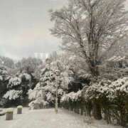 ほなみ 【お礼写メ日記】 熟女の風俗アウトレット大垣安八羽島店