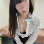 ヒメ日記 2025/03/15 07:33 投稿 言峰しき 響-HIBIKI-