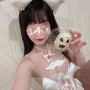 ヒメ日記 2025/10/10 10:30 投稿 言峰しき 響-HIBIKI-