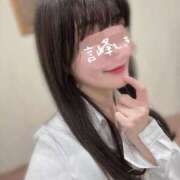 ヒメ日記 2025/12/13 08:31 投稿 言峰しき 響-HIBIKI-