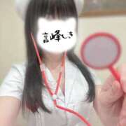 ヒメ日記 2026/02/17 08:28 投稿 言峰しき 響-HIBIKI-