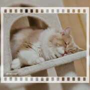 ヒメ日記 2025/01/24 16:56 投稿 三好れな 響-HIBIKI-