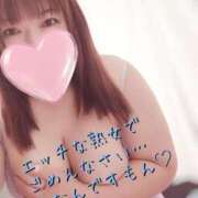 ヒメ日記 2025/07/30 21:17 投稿 あおき 山口下関ちゃんこ